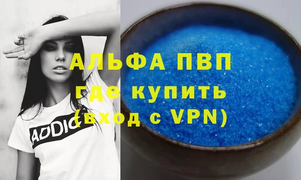 шишки Краснослободск