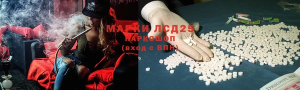spice Куйбышев
