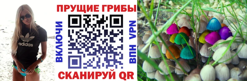 Купить закладки  Любань  Галлюциногенные грибы GOLDEN TEACHER 